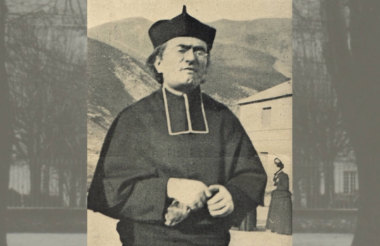 Jan Berthier MS - misjonarz i pisarz